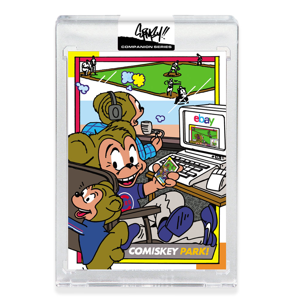 Project 2020 Ermsy Companion Card #17